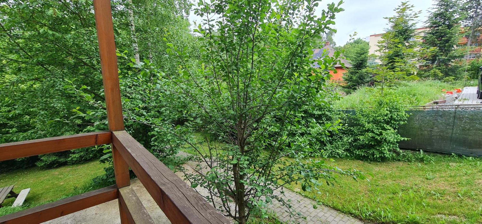 Apartmany Orlova Bagian luar foto